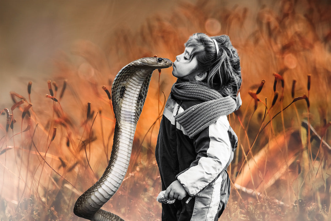 Healing: The Pain You Choose in Order to Be Free 13"x19" Fine Art Print