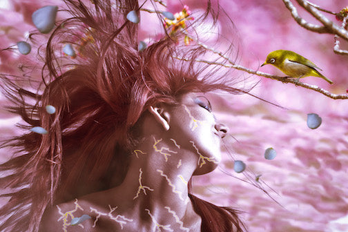 Kintsugi: Broken is Beautiful 13"x19" Fine Art Print