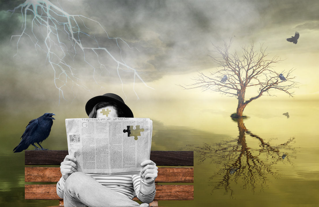 Trust the Media 11"x14" Fine Art Print