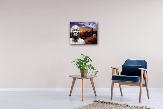 What is Freedom? What is Country? 16"x20" Metal Print