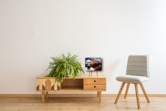 What is Freedom? What is Country? 11"x14" Fine Art Print